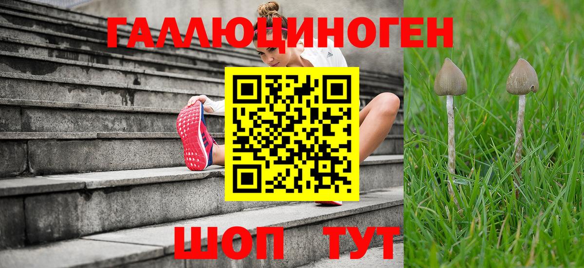 Галлюциногенные грибы Psilocybine cubensis  Вход с VPN  Сокол 