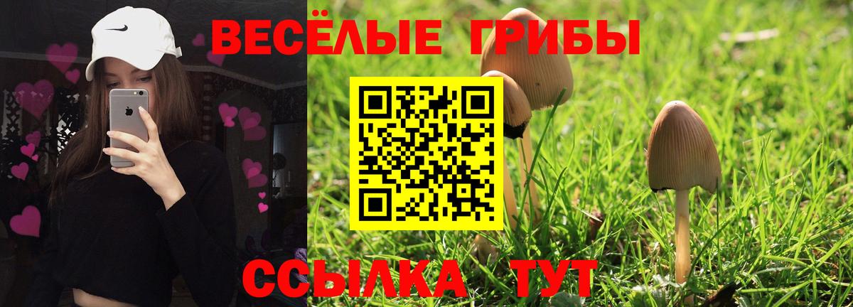 Галлюциногенные грибы ЛСД Сокол